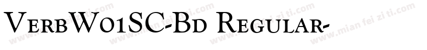 VerbW01SC-Bd Regular字体转换